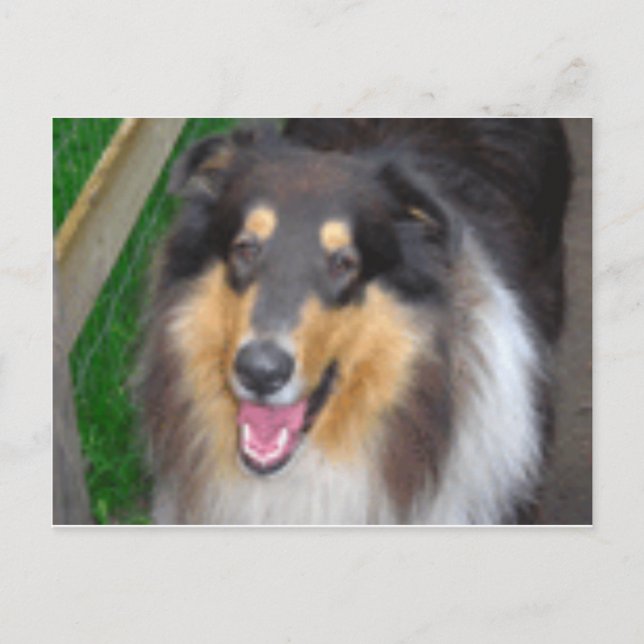 zorro vykort (Framsida)