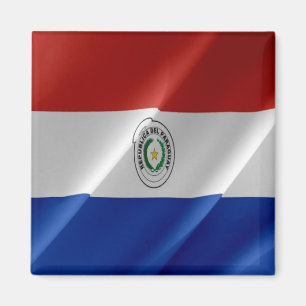 zPY002 PARAGUAY, Wave Flagga, America, Fridge Magnet