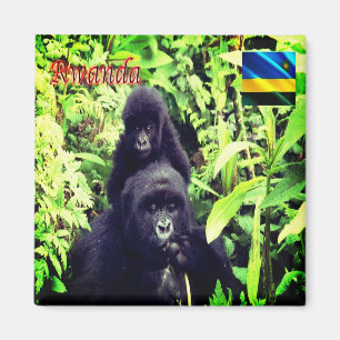zRW003 RWANDA, Gorilla at National Park, Fridge Magnet