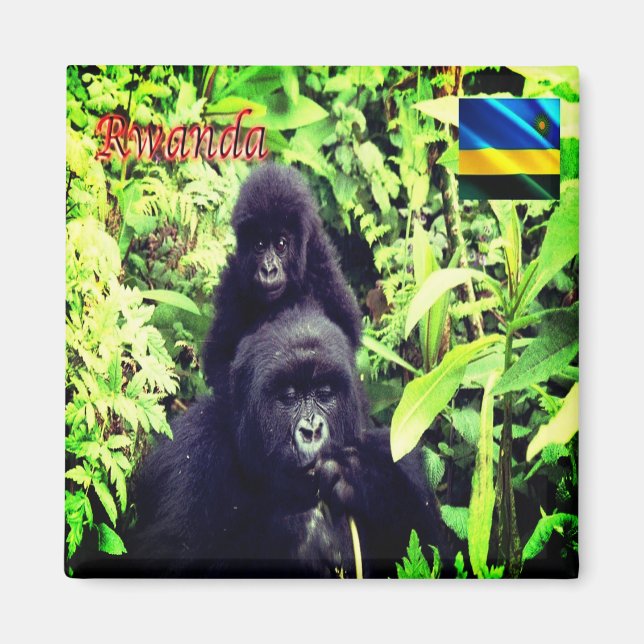 zRW003 RWANDA, Gorilla at National Park, Fridge Magnet (Framsidan)