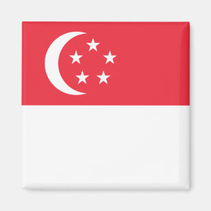 zSG001 Singaporeanska FLAGGA Singapore, Fridge Magnet