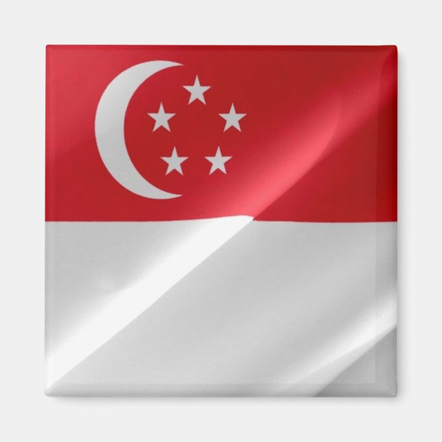 zSG002 wave Singaporean FLAGGA Singapore, Fridge Magnet (Framsidan)