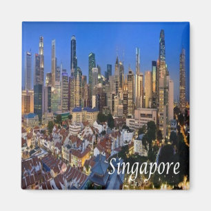 zSG006 SINGAPORE panorama LEJON STAD, Asien, Fridg Magnet