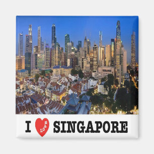 zSG010 LEJON STAD i kärlek SINGAPORE, Asien, Fridg Magnet