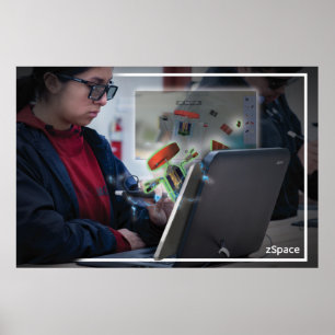 ZSpace Poster - Franklins Lab