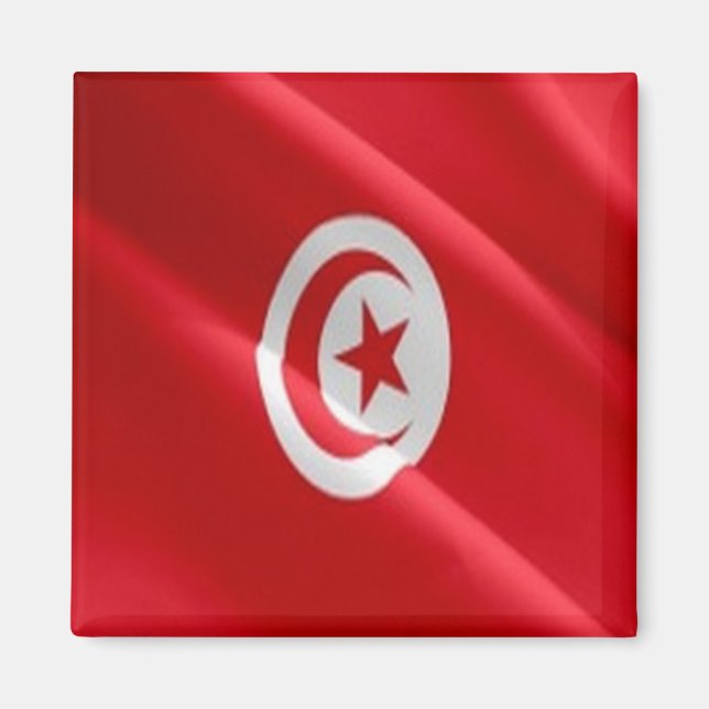zTN002 TUNISIEN, Wave-Flagga, Afrika, Fridge Magnet (Framsidan)