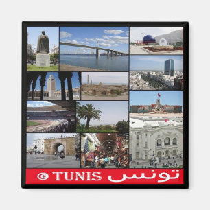zTN020 TUNIS, Mosaic, Tunisien, Afrika, Fridge Mag Magnet