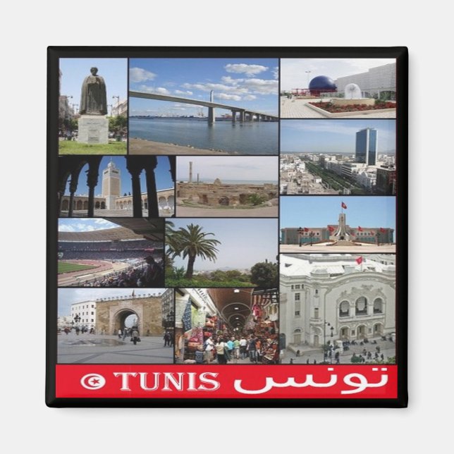 zTN020 TUNIS, Mosaic, Tunisien, Afrika, Fridge Mag Magnet (Framsidan)