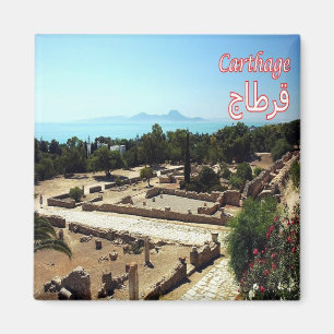 zTN022 CARTHAGE, Ruins, Tunisien, Afrika, Fridge Magnet