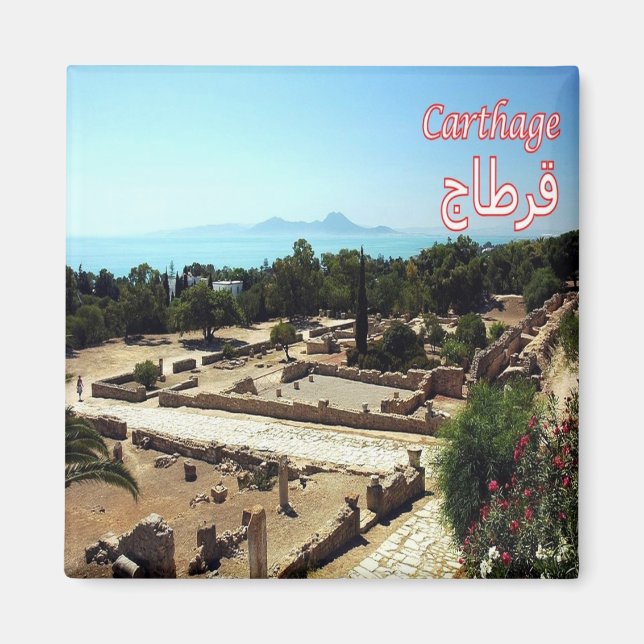 zTN022 CARTHAGE, Ruins, Tunisien, Afrika, Fridge Magnet (Framsidan)