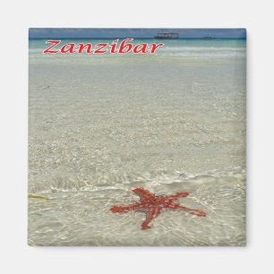 zTZ011 ZANZIBAR, Starfish,Tanzania, Afrika, Fridge Magnet
