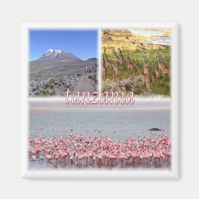 zTZ019 TANZANIA, Mosaic, Afrika, Fridge Magnet (Framsidan)