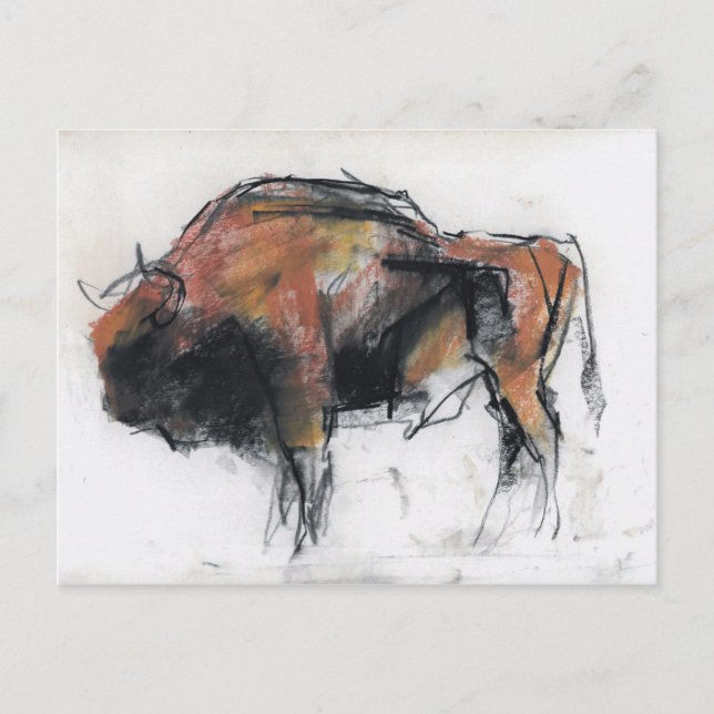 Zubre Bialowieza Vykort (Framsida)