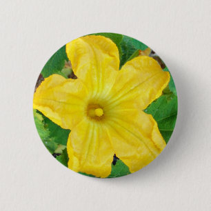 Zucchini Flower Knapp