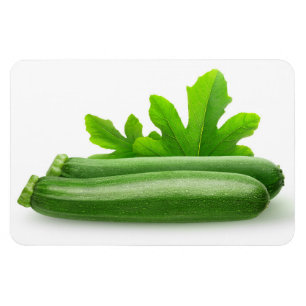 Zucchini Magnet