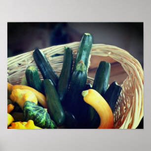 Zucchini Sommartorg Gourds Vegetables Poster
