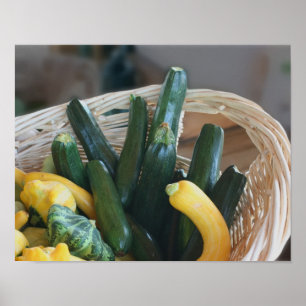 Zucchini Sommartorg Gourds Vegetables Poster