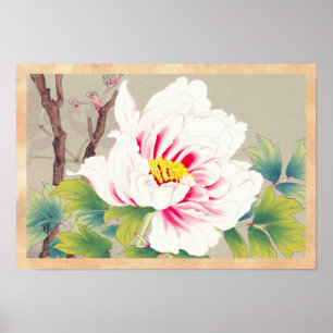 Zuigetsu Ikeda Rosa Camellia japanese blomart Poster