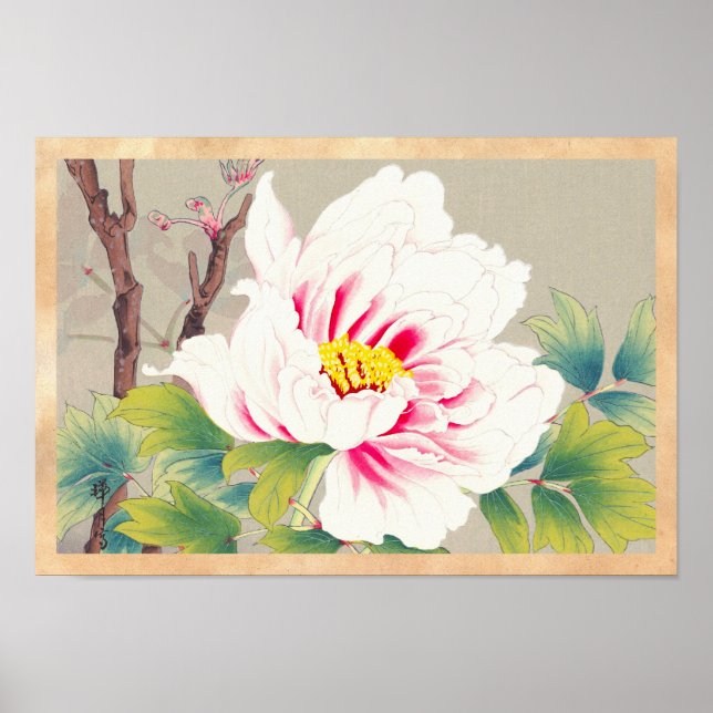Zuigetsu Ikeda Rosa Camellia japanese blomart Poster (Framsidan)