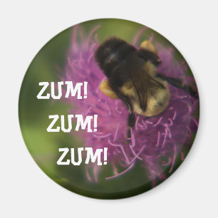 Zum Zum Zum magnet