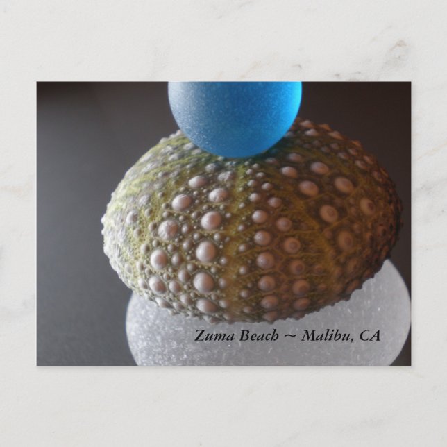 Zuma Beach Vykort (Framsida)