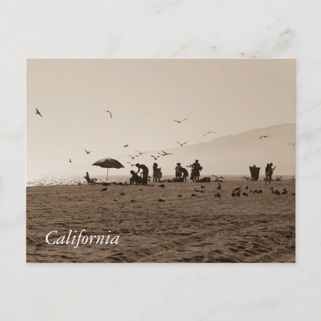 Zuma Beach-vykort Vykort (Framsida)