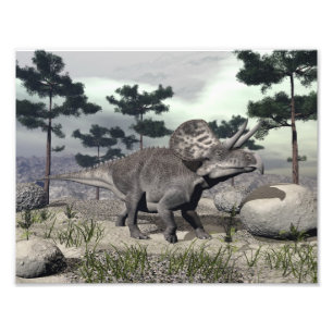 Zuniceratops dinosaur - 3D framför Fototryck