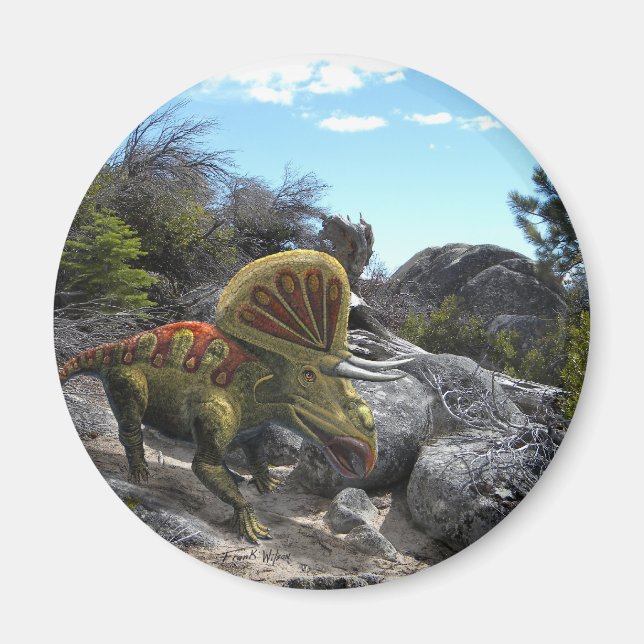 Zuniceratops Dinosaur Magnet (Framsidan)