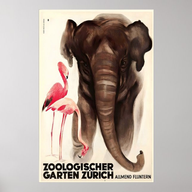 Zurich schweiziska zoo elefant flamingo djur poster (Framsidan)