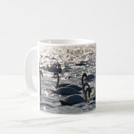 Zwanen in een groep op het water met glinsterend z kaffemugg