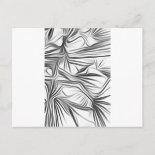 Zwart Wit Print Black White Print Plant Vykort