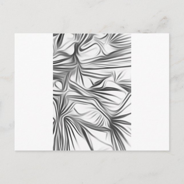 Zwart Wit Print Black White Print Plant Vykort (Framsida)