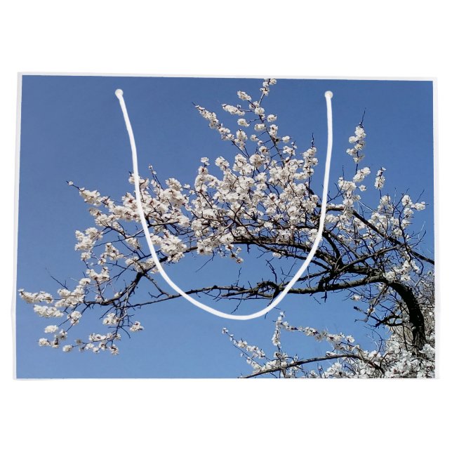 Zweig der Kirschblüte (Baksidan)
