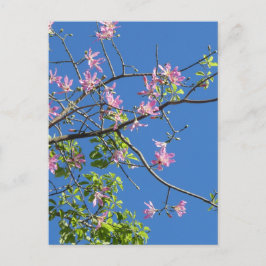 Zweig mit Blumen Vykort