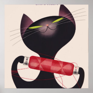 Zwicky Cat Poster av Donald Brun