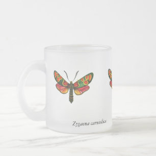 Zygaena carniolica - Crepuscular Burnet Moth Frostad Glasmugg