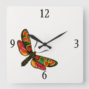 Zygaena carniolica - Crepuscular Burnet Moth Fyrkantig Klocka