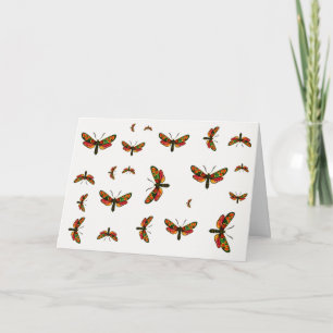 Zygaena carniolica - Crepuscular Burnet Moth Kort