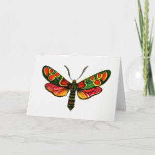 Zygaena carniolica - Crepuscular Burnet Moth Kort