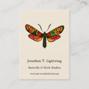 Zygaena carniolica - Crepuscular Burnet Moth Visitkort