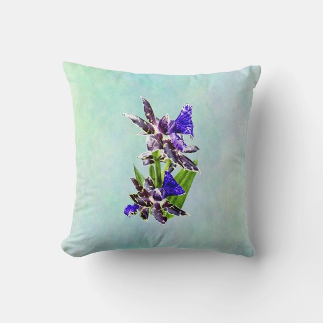 Zygo Advance Australien HOF Kudde (Framsida)