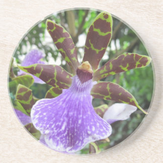 Zygopetalum Orchidunderlägg Underlägg