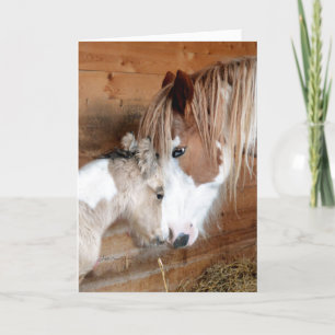 Zypsy Vanner Mare och Foal Mors dag Kort