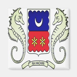 zYT001 MAYOTTE, Flagga, Afrika, Fridge Magnet