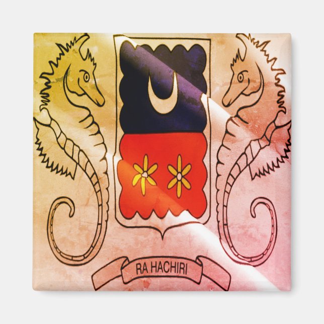 zYT002 MAYOTTE, Wave-Flagga, Afrika, Fridge Magnet (Framsidan)