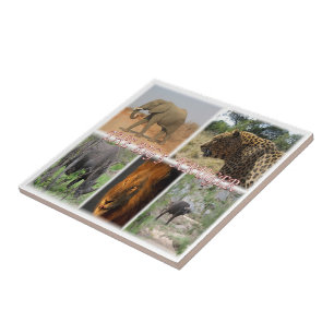 zZA027 SÖDRA AFRIKAN, BIG 5 i KRUGER NP Kakelplatta