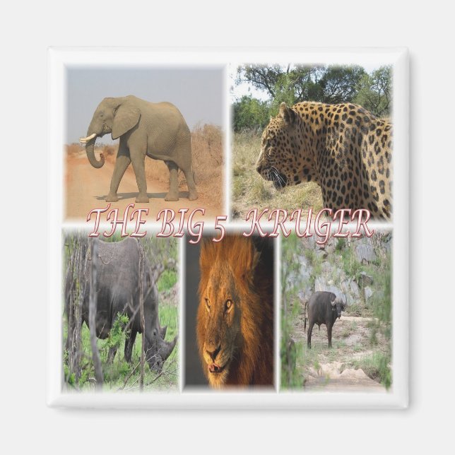 zZA035 SOUTH-AFRIKA 5 i Kruger N.P. Fridge Magnet (Framsidan)