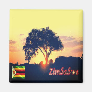 zZW018 ZIMBABWE, hwange sunset, Afrika, Fridge Magnet